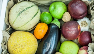 激光打標“可食用標簽”，引領食品安全新風向